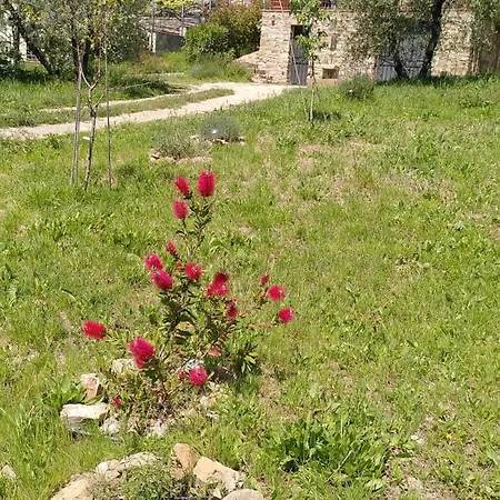 Casa vacanze La Speranza *