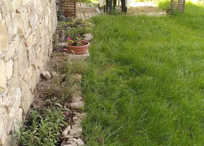 La Speranza *